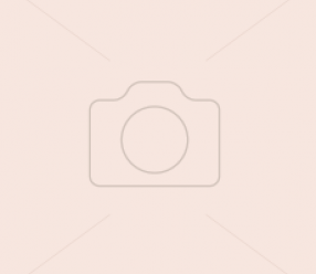 Обои Domus Parati Ornamenta (DP 95511d) виниловые