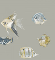 Обои Harlequin Anthozoa 111646