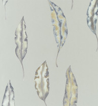 Обои Harlequin Anthozoa 111656